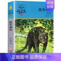 牧羊神豹 [正版] 后一头战象 沈石溪动物小说珍藏版 四五六年级10-12-15岁中小学生课外阅读文学故事书 凤凰书店