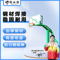 探仕狼 篮球架户外凹箱单梁篮球架成人标准比赛投篮学校室外球架一副 TSL-AXD01