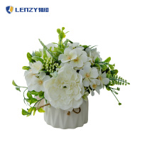 LENZY 韧知 仿真花盆栽 20cm 个