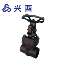 兴酉 铸钢丝扣闸阀Z11Y DN40 个