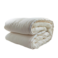 暖居顺 大豆纤维被 NJS0021 张