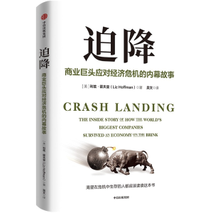 正版新书]迫降 商业巨头应对经济危机的内幕故事(美)利兹·霍夫曼