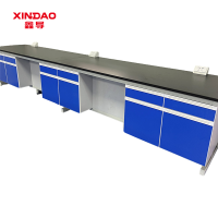 鑫导 实验台 SYT10-钢木边台定制 米