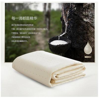 家柏饰(CORATED)泰国乳胶凉席三件套冰丝1.5米1.8m床可水洗可折叠单人宿舍软席子