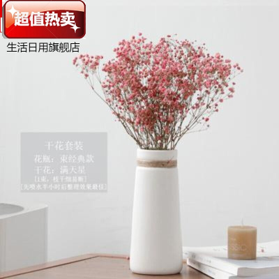 。简约现代客厅陶瓷花瓶家居创意摆件花瓶小清新干花艺水培白色花套装-束+粉色满天星
