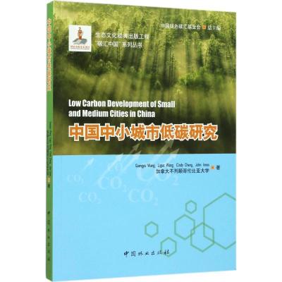 正版新书]中国中小城市低碳研究王光玉9787503889615