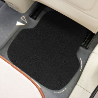 金宫龙 丝圈脚垫 一个