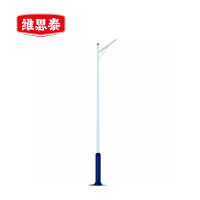 维思泰 太阳能路灯灯杆 WST-JW9612D 根