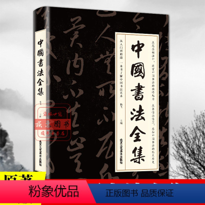 [正版]中国书法全集珍藏版中国书法大全书法字帖初学入门书法临摹中国书法发展知识全解中国书法一本通中国书法简史中国书法书