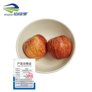 铂锜澳 白色陶瓷碗10个装/件