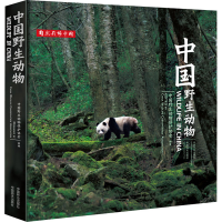 醉染图书中国野生动物9787521914580