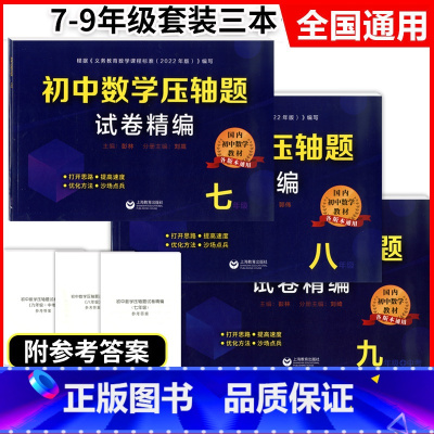 初中数学压轴题试卷精编 789年级+中考 3本 初中通用 [正版]2023初中数学压轴题试卷精编 七八九年级/789年级