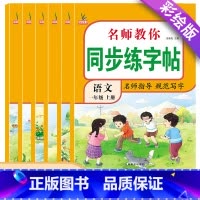 [上册]同步练字帖 小学一年级 [正版]2024人教版小学同步练字帖一年级二年级三年级四年级五六年级上册下册字帖练字语文