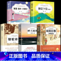 [5册]五年级课外阅读书籍 [正版]城南旧事林海音完整版原著三四五六年级课外书必读阅读书籍经典书目小学生初中生南城旧事儿