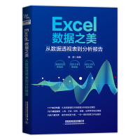 音像Excel数据之美:从数据透视表到分析报告中国