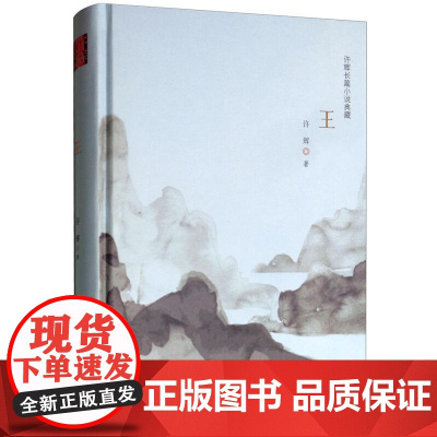 许辉长篇小说典藏:王