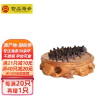 宫品海参单只淡干小海参家用3.5-3.8cm 1只 每满20只赠1只国产简装盒装