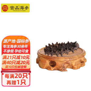 [国标10倍]宫品海参单只淡干小海参家用3.5-3.8cm 1只 每满20只赠1只国产简装盒装