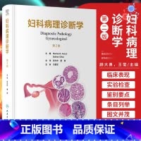 [正版]妇科病理诊断学 第2版第二版翻译版 回允中 董颖 人民卫生出版社 9787117354851实用妇产科学宫颈子