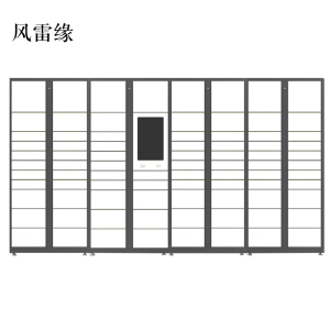 风雷缘智能快递柜小区快递自提柜派件柜室外寄存柜信报箱储物柜一主三副83格