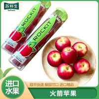 顺丰快递[苏鲜生]新西兰火箭苹果 4筒装 5个/筒 甜脆苹果