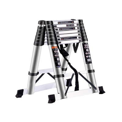 盛松林 梯子 3m 个