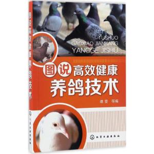 图说高效健康养鸽技术