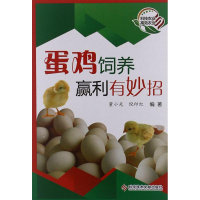 音像蛋鸡饲养赢利有妙招董小光,倪印红