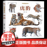 【大开本】动物大百科 虎豹 科普图鉴系列 少儿百科全书全套大百科 小学生科普百科6–12岁阅读书籍豹子老虎动物世界启蒙认