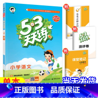 [天天练]语文—人教版 六年级下 [正版]2023新53天天练西师版数学一年级二年级三年级四年级五年级六年级上册下册小学