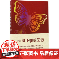 北京灯下蛾类图谱