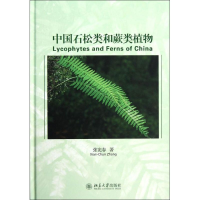 音像中国石松类和蕨类植物张宪春