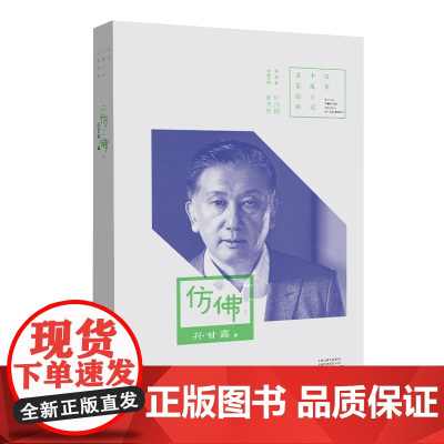百年中篇小说名家经典:仿佛