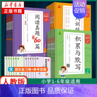 作文素材 五年级上 [正版]2024/25适用 53小学基础练人教版 一二三年级积累与默写上下册句式训练大全阅读真题60