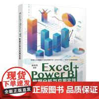 Excel+Power BI数据分析与应用实践 翁东风 清华大学出版社9787302683278