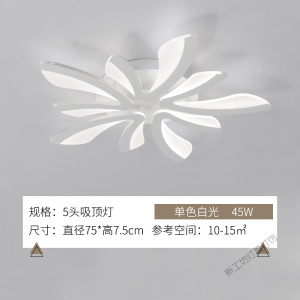 苏宁放心购 客厅灯2020年新款简约大气家用led创意北欧后现代卧室吸顶灯灯具