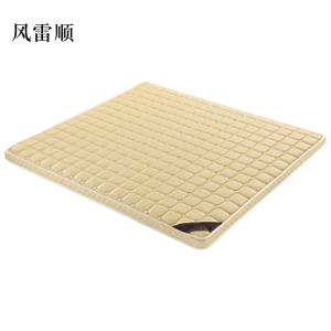 风雷顺椰棕床垫家用棕垫D6cm高密度款(织锦面料+高密度0胶水天然椰棕)800mm*2000mm