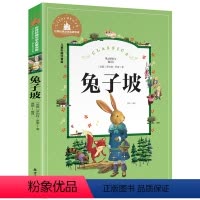 [彩图注音版]兔子坡 [正版]稻草人书 彩图大字注音版叶圣陶书三年级的课外书带拼音故事书少儿读物儿童文学名著小学生课外阅