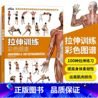 [正版]拉伸训练彩色图谱 100种拉伸练习 肌肉健美训练图解拉伸训练书籍 健身书籍练肌肉 人民邮电出版社