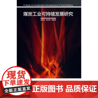 煤炭工业可持续发展研究