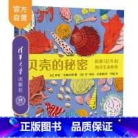 [正版]贝壳的秘密——探索5亿年的海洋生命传奇 伊娃·本赛哈德 儿童科普