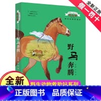 [正版]完整版野马奔腾全本沈石溪的书籍动物小说大王系列小学生四五六年级儿童文学作品珍藏大全全集单本一品藏阅读故事精品