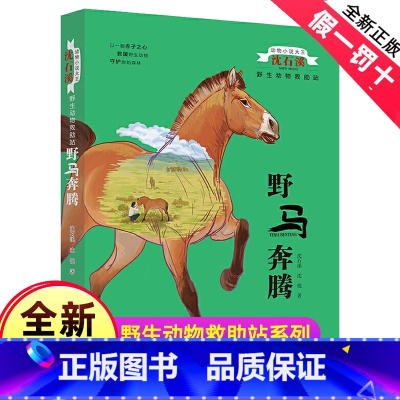 [正版]完整版野马奔腾全本沈石溪的书籍动物小说大王系列小学生四五六年级儿童文学作品珍藏大全全集单本一品藏阅读故事精品