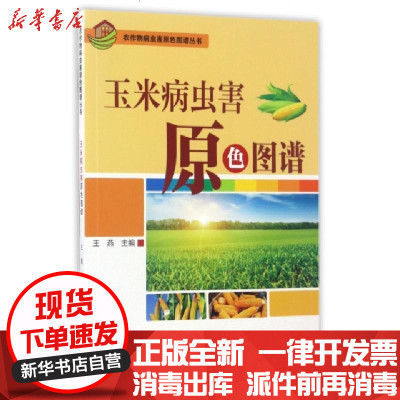 新华书店-正版玉米病虫害原色图谱/农作物病虫害原色图谱丛书编者:王燕9787534983658河南科技书籍