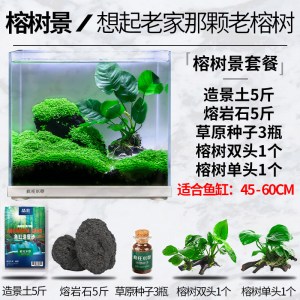鱼缸造景套餐小摆件装饰布景全套假山小型沉木造景生态缸水缸
