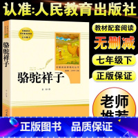 [人教版]骆驼祥子 [正版]朝花夕拾鲁迅原著+西游记无删减版七年级上册必读课外书人民教育出版社阅读白洋淀纪事湘行散记镜花