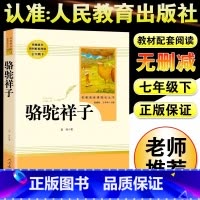 [人教版]骆驼祥子 [正版]朝花夕拾鲁迅原著+西游记无删减版七年级上册必读课外书人民教育出版社阅读白洋淀纪事湘行散记镜花