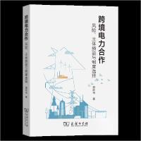 正版新书]跨境电力合作:风险、主体损益与制度选择聂新伟 著97