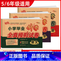 3本]语文+数学+英语 小学升初中 [正版]2024版小学毕业升学全真模拟试卷语文数学英语小升初必刷题人教版小学升初中真