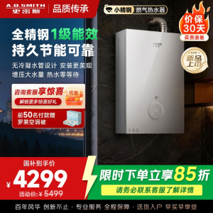 AO史密斯佳尼特JSLQ28-TJE5一级能效防冻燃气热水器智能增压零冷水无冷凝水管大水量新品
